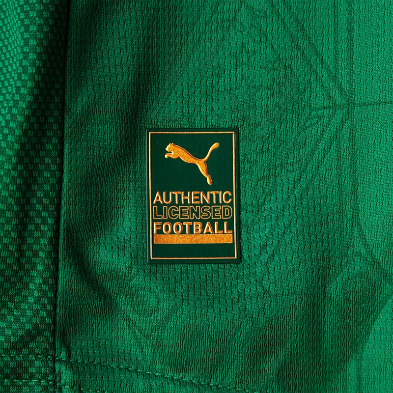 Camisa Palmeiras Home 25/26 s/n° Puma Jogador Masculino - Verde