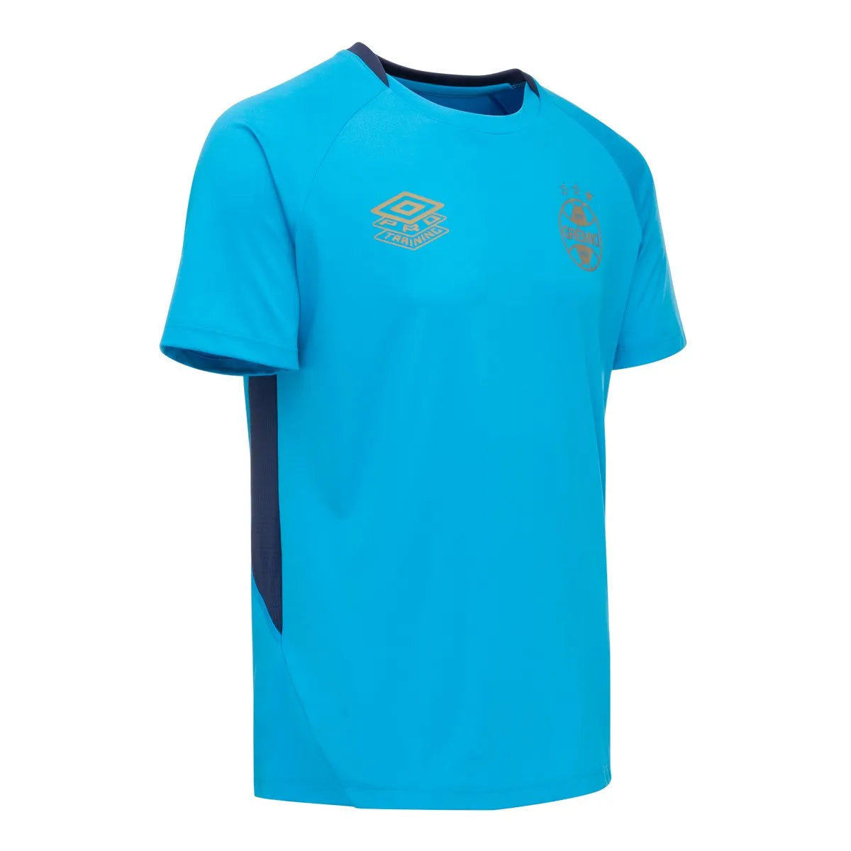 Camisa Grêmio Treino Celeste 25/26 Umbro Masculino - Azul