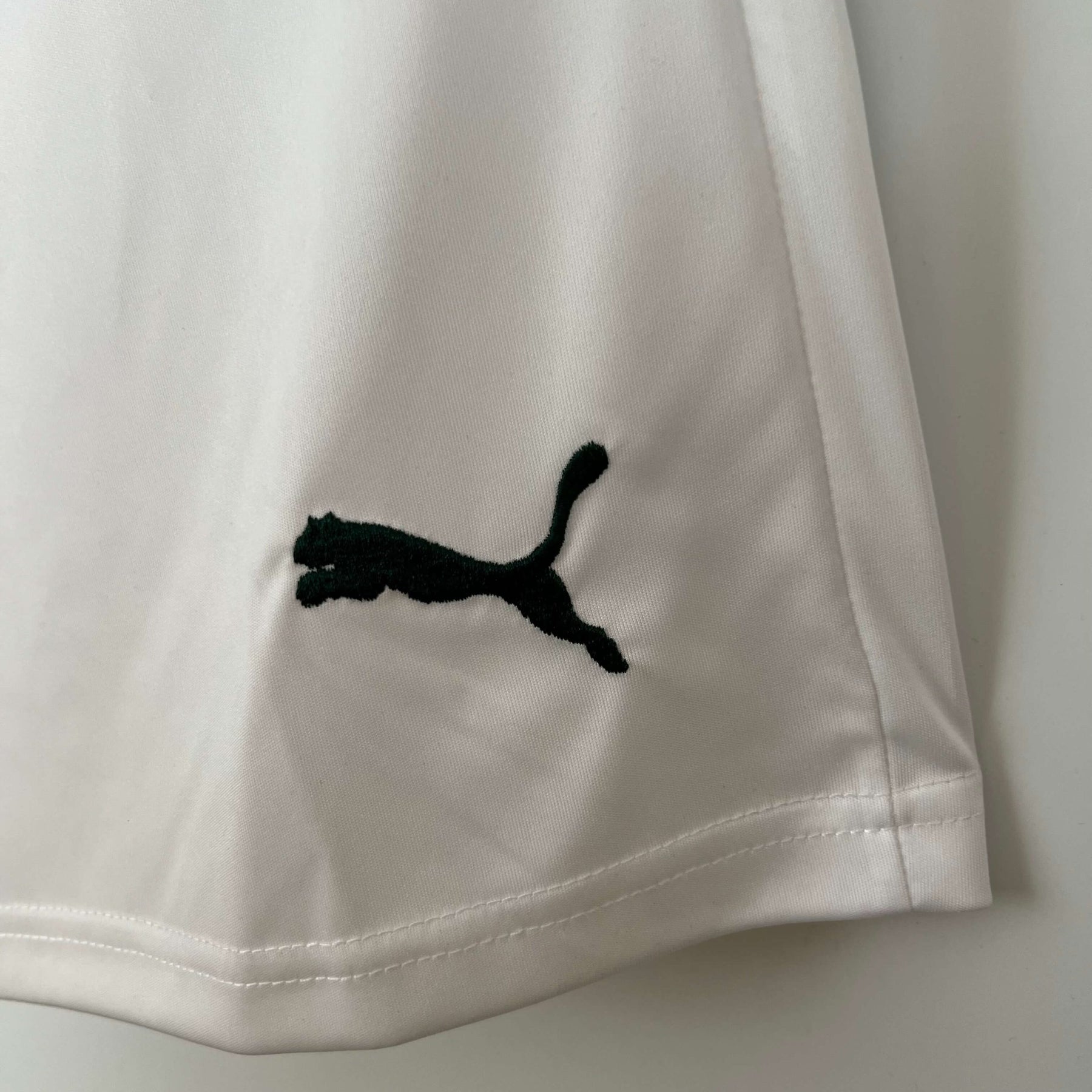 Shorts Palmeiras 23/24 – Masculino