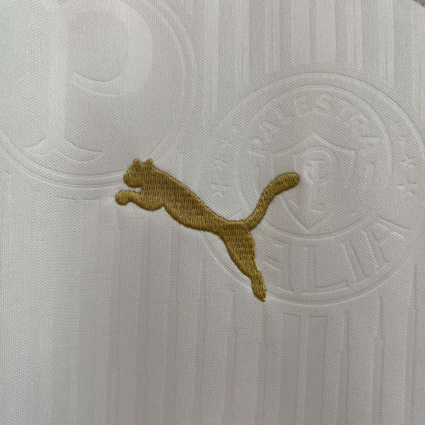 Regata Palmeiras 24/25 – Torcedor Masculina