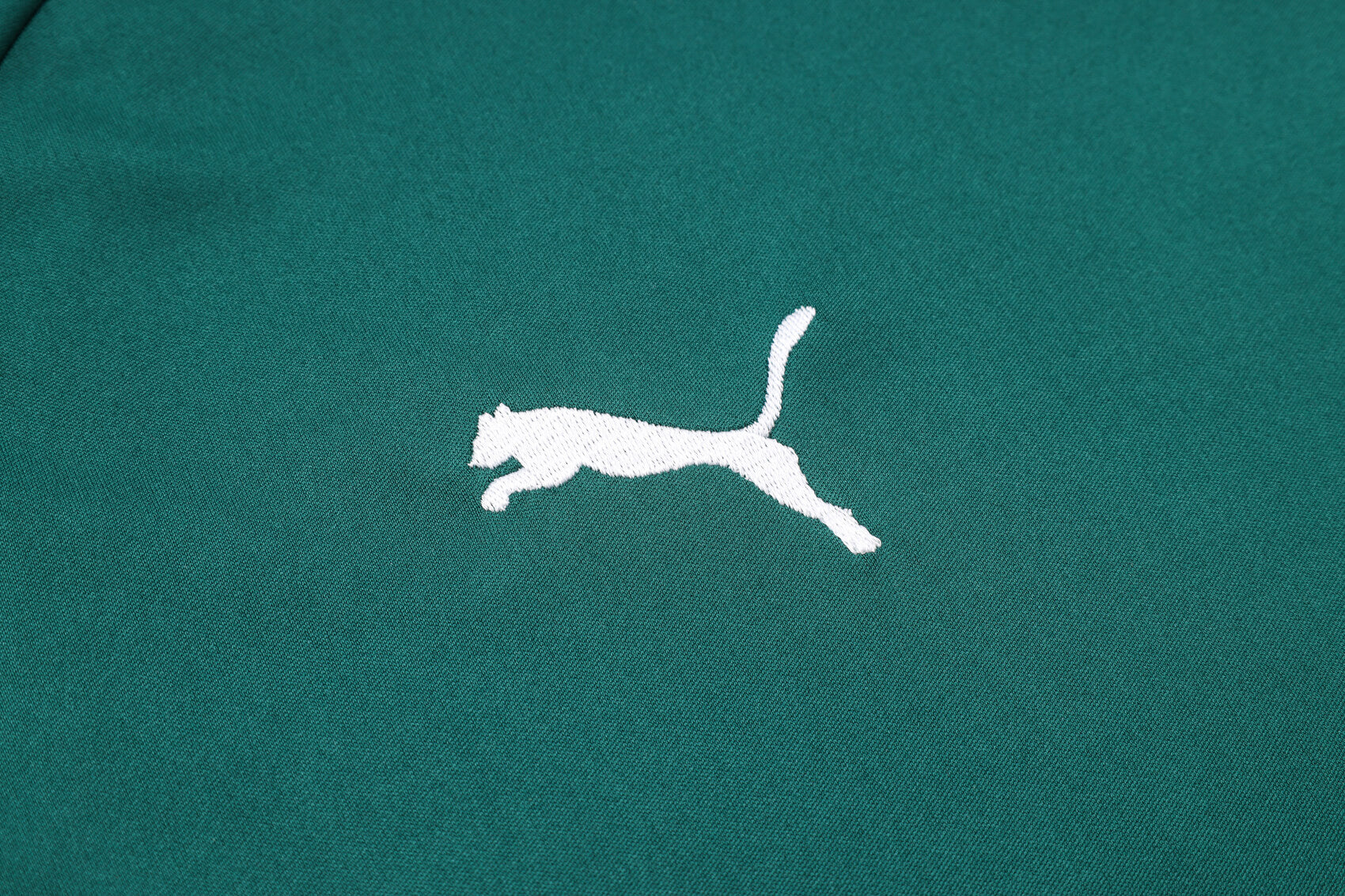 Kit de Treino Palmeiras 23/24 – Camisa+Shorts