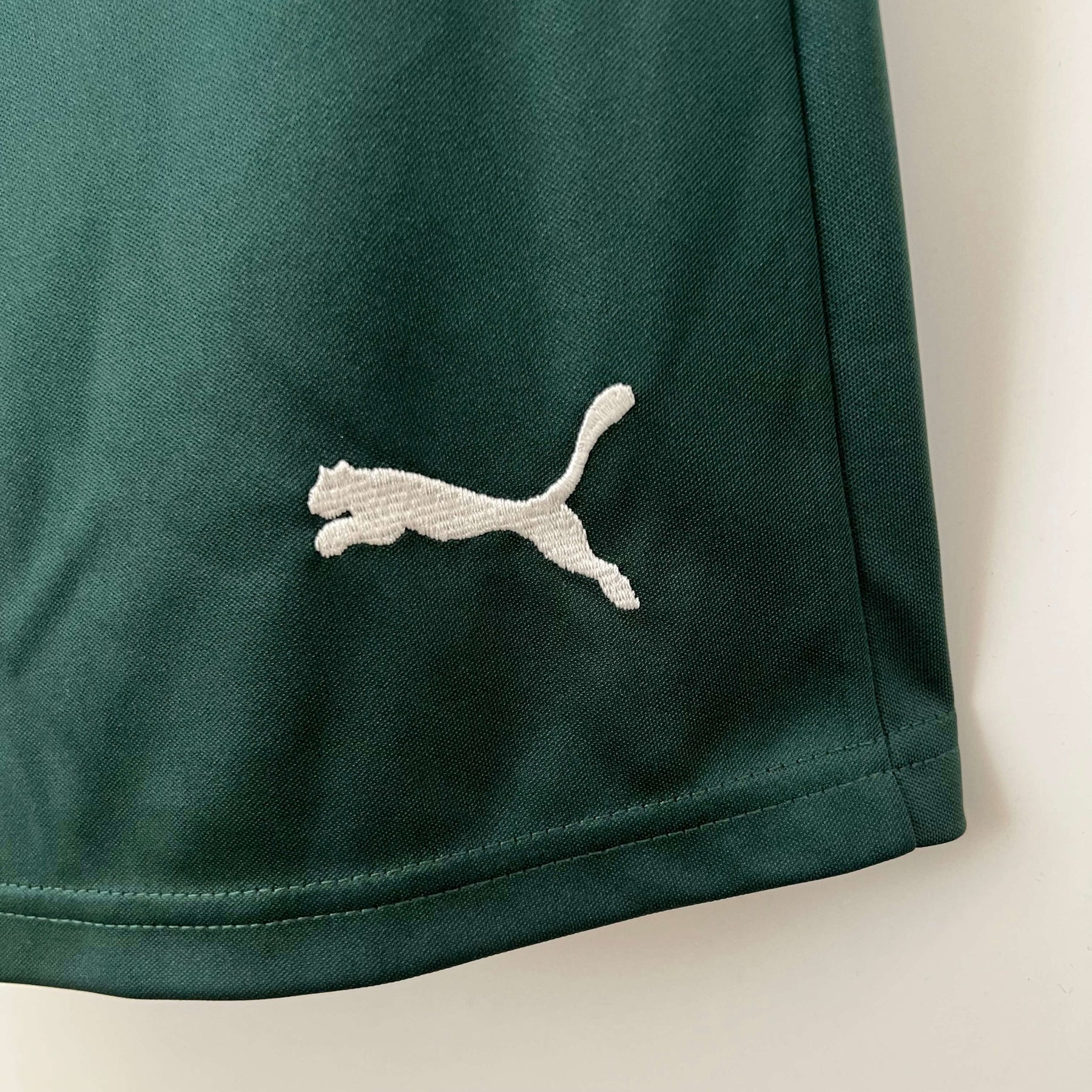 Shorts Palmeiras 23/24 – Masculino