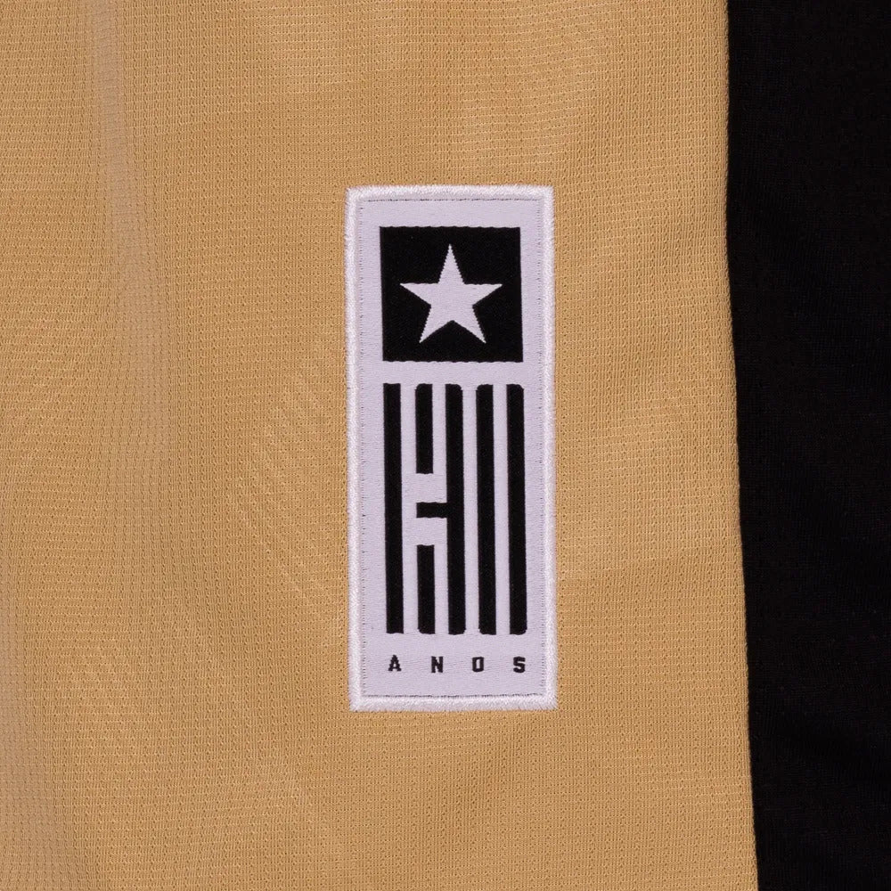 Camisa Botafogo Goleiro 24/25 – Masculina Torcedor