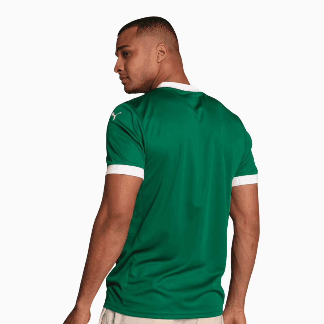 Camisa Puma Palmeiras 2025/26 I - Paulinho N° 10