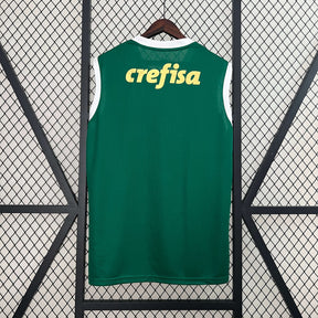 Regata Palmeiras 24/25 – Torcedor Masculina - Verde