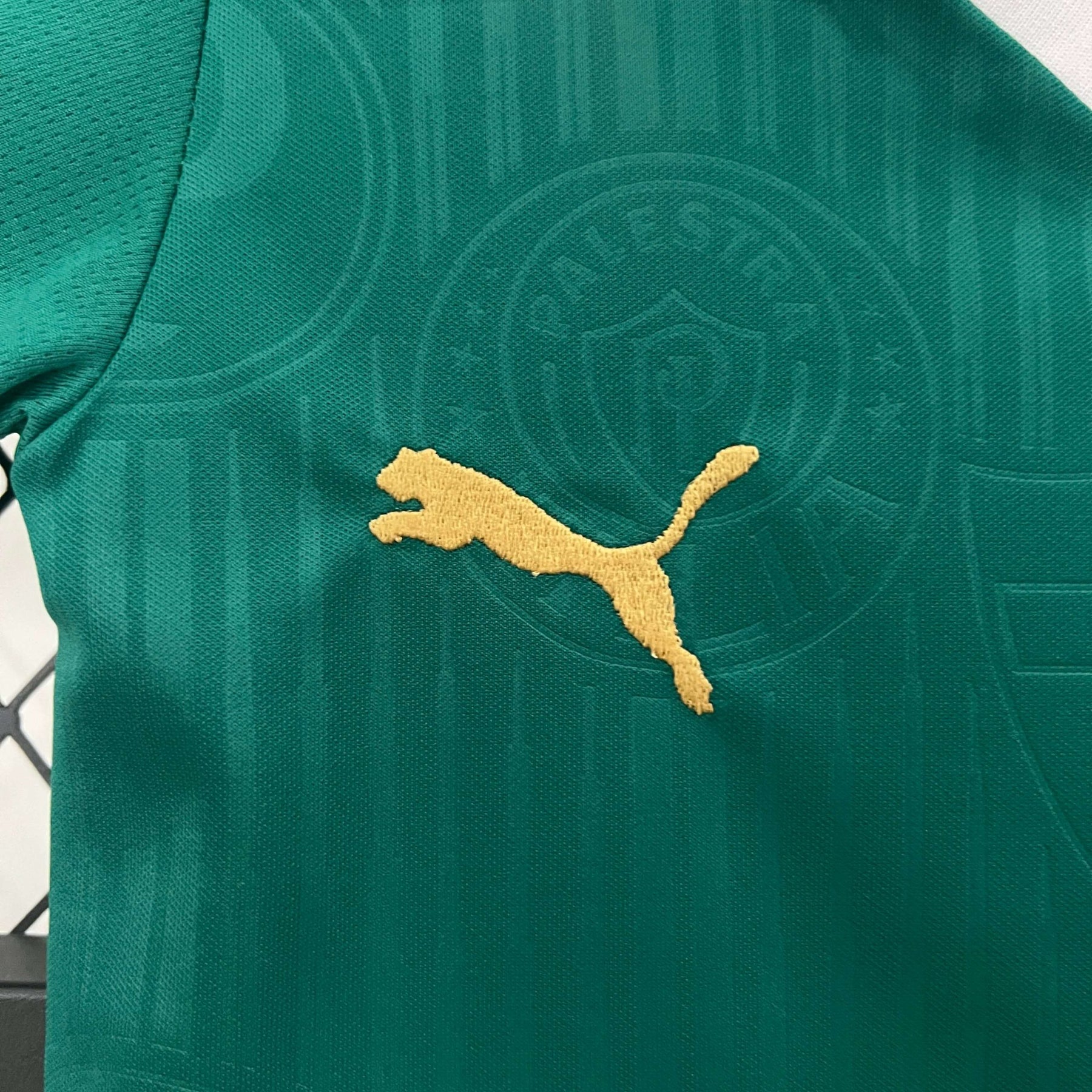 Kit Palmeiras Home - 24/25 – Infantil