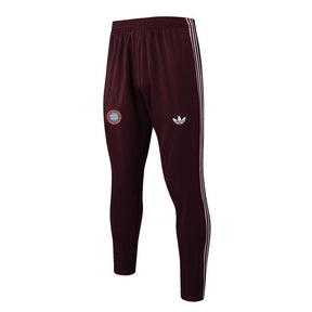 Conjunto de Treino Bayern de Munich 25/26  Vinho