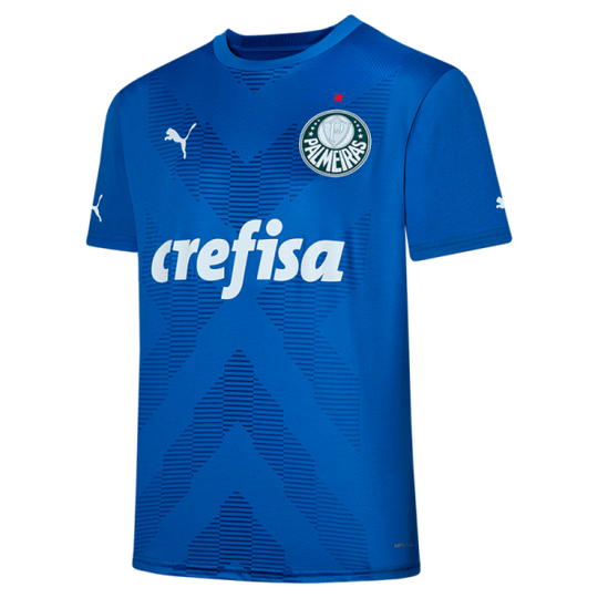 Camisa Palmeiras Home - 2023 Goleiro