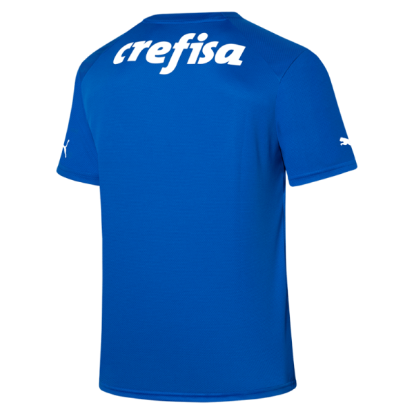 Camisa Palmeiras Home - 2023 Goleiro