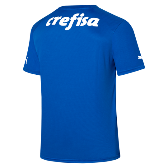 Camisa Palmeiras Home - 2023 Goleiro