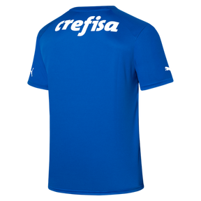 Camisa Palmeiras Home - 2023 Goleiro
