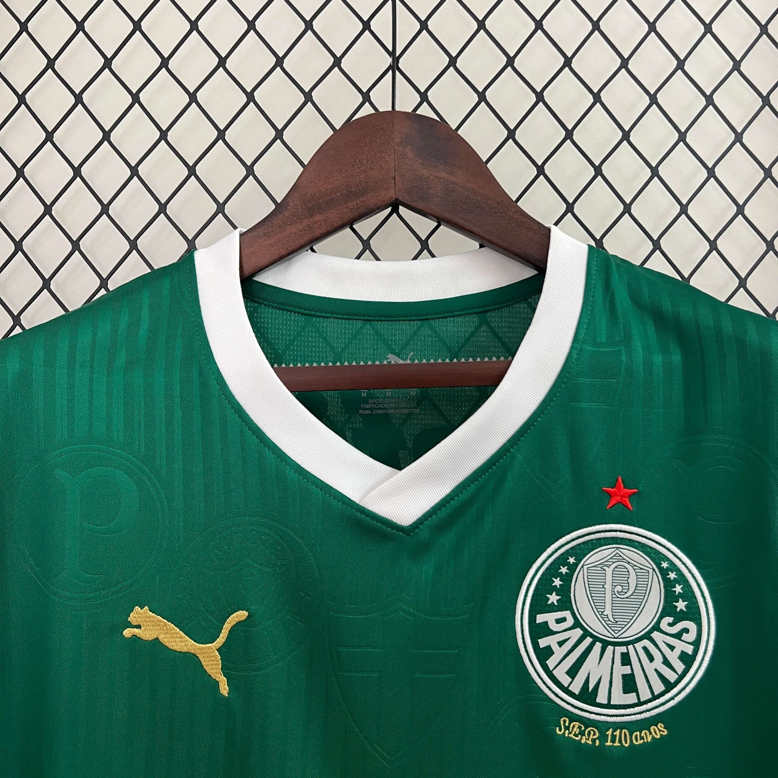 Regata Palmeiras 24/25 – Torcedor Masculina - Verde