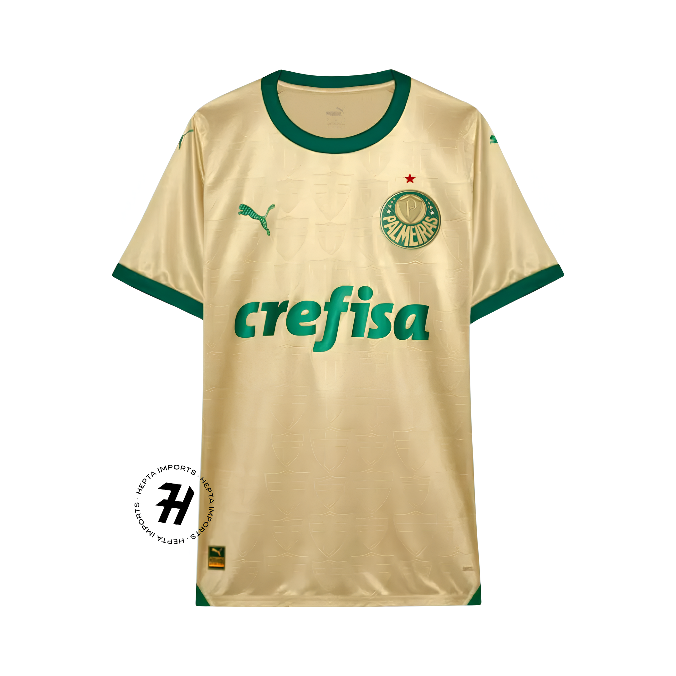 Camisa Palmeiras Third 24/25 - Masculino Torcedor
