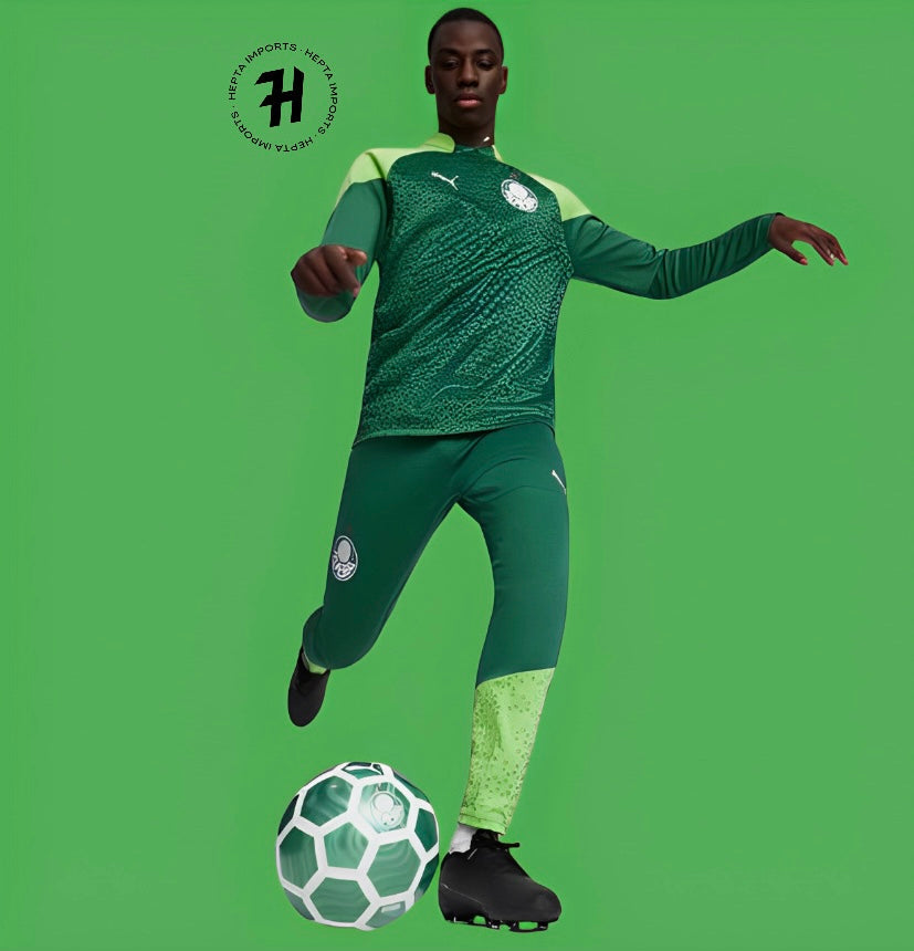 Conjunto de Treino Palmeiras 24/25 – Verde