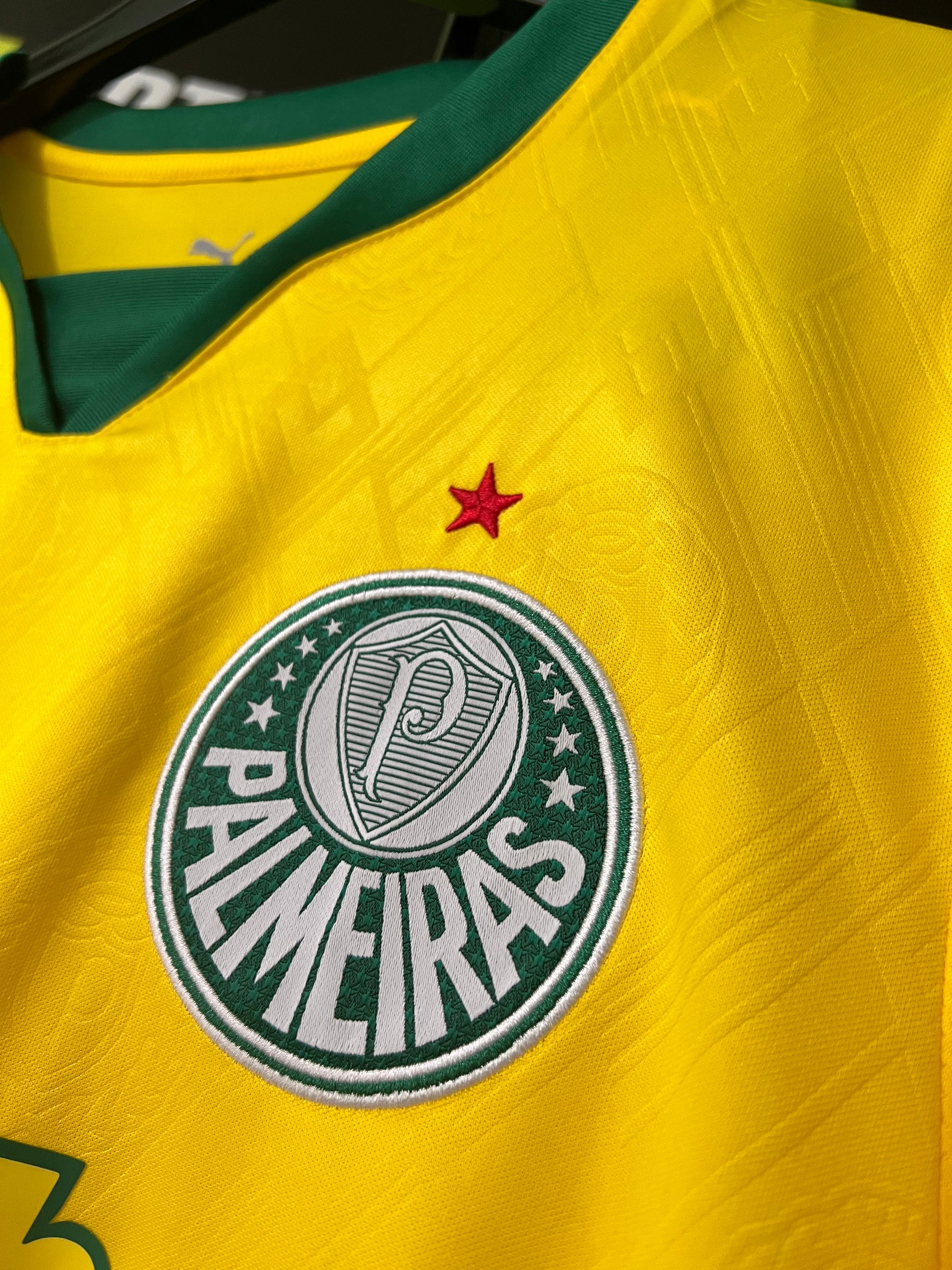 Camisa Palmeiras III 25/26 - Torcedor Masculina