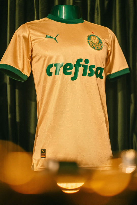 Camisa Palmeiras Third 24/25 - Masculino Torcedor