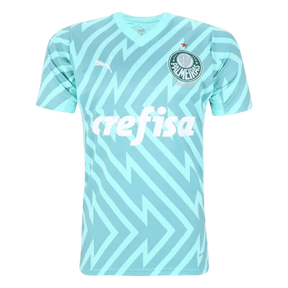 Camisa Palmeiras 2024/25 Goleiro