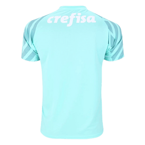 Camisa Palmeiras 2024/25 Goleiro