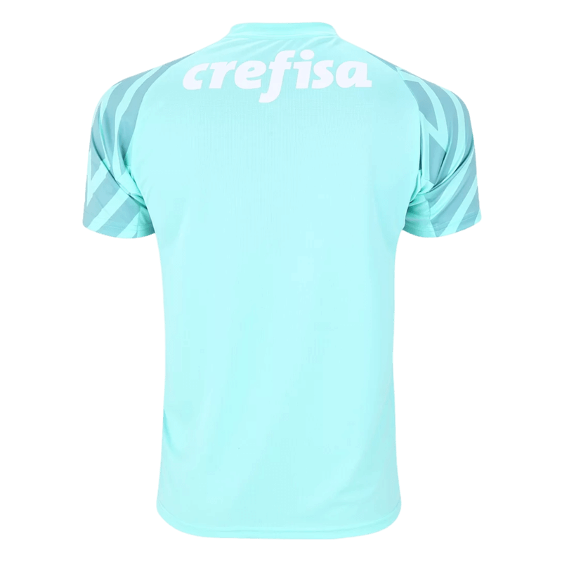Camisa Palmeiras 2024/25 Goleiro