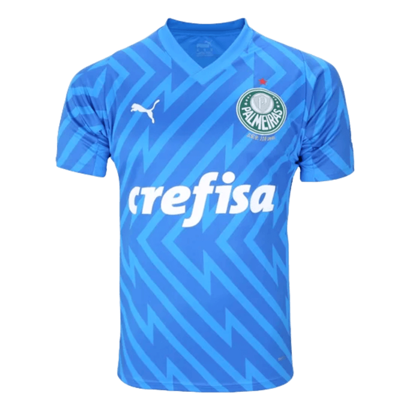Camisa Palmeiras 2024/25 - Goleiro