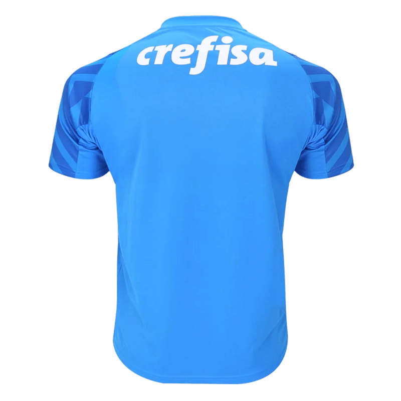 Camisa Palmeiras 2024/25 - Goleiro