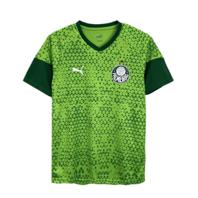 Camisa Treino Palmeiras 2024-25