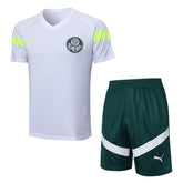 Kit de Treino Palmeiras 23/24 – Camisa+Shorts