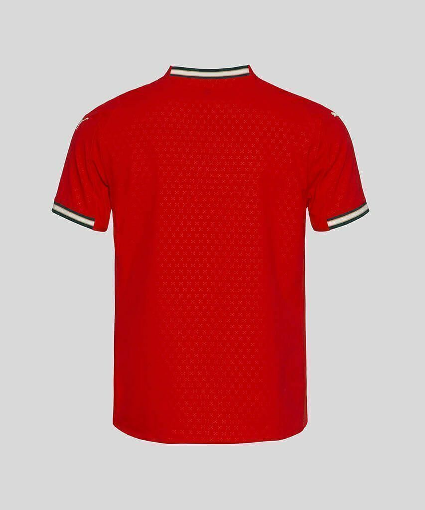 Camisa Portugal Home 25/26 s/n° Torcedor Puma Masculino - Vermelho