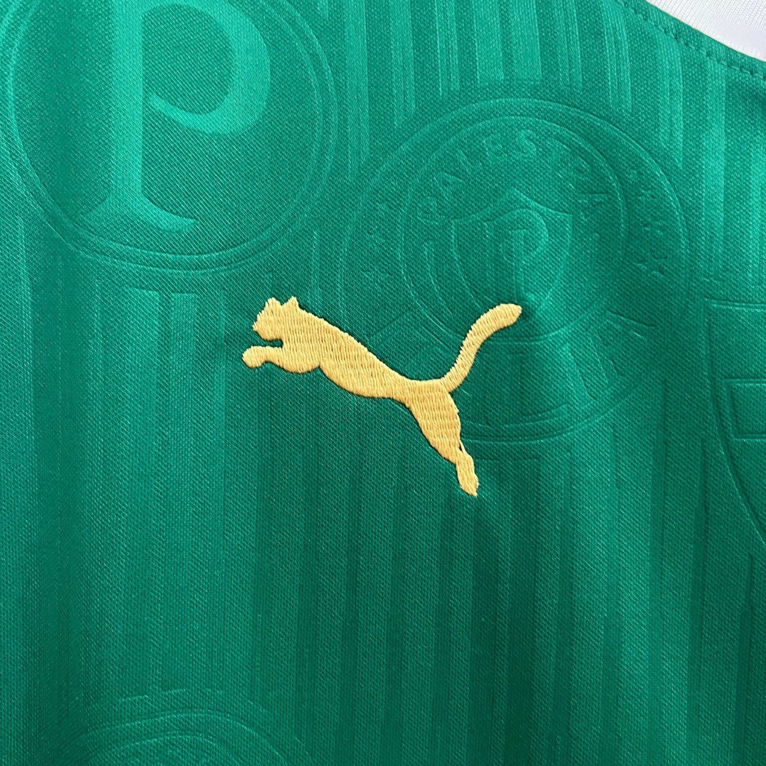 Regata Palmeiras 24/25 – Torcedor Masculina - Verde