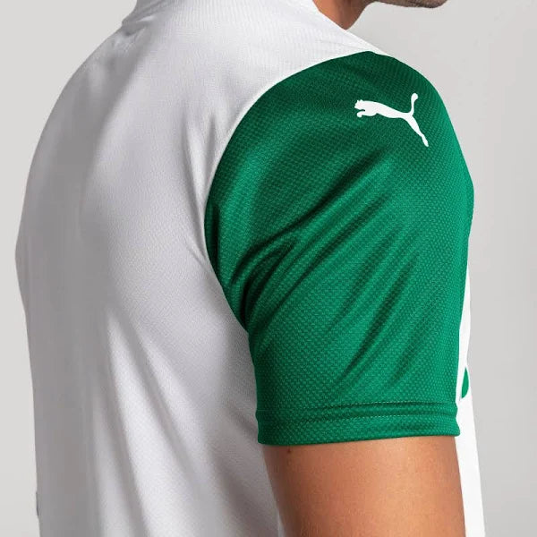 Camisa Jogador Palmeiras Reserva 2025/26
